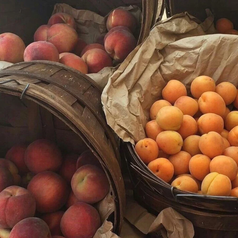 Set of 5 Wooden Produce Baskets 🍎🍊🍋